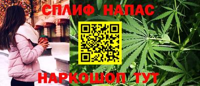 Альфа ПВП Бийск
