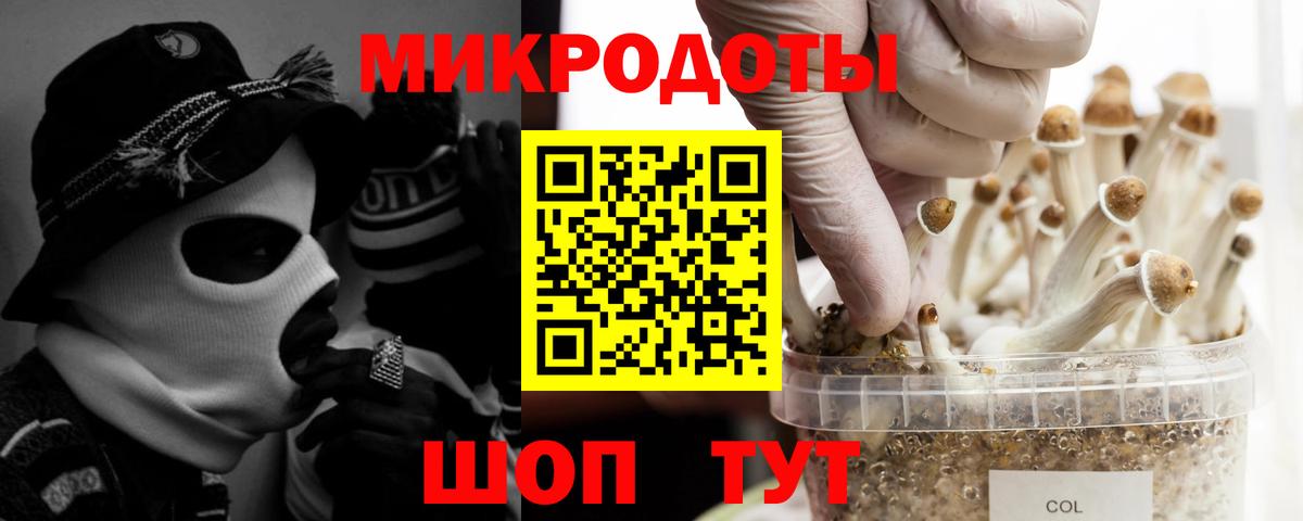 Галлюциногенные грибы MAGIC MUSHROOMS  Галлюциногенные грибы ЛСД  Вход с VPN  Кимры 